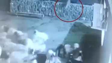 Kurt Koyunu Yakalamaya Çalıştı