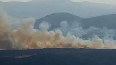 Kırkağaç'ta Orman Yangını
