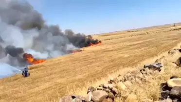 Viranşehir'de Yangın: 5 Yaralı, Bin Dönüm Zarar