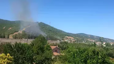 Kocaeli'de Orman Yangını Kontrol Altına Alındı