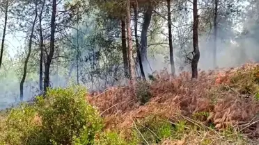 Adana'da Orman Yangını Kontrol Altına Alındı