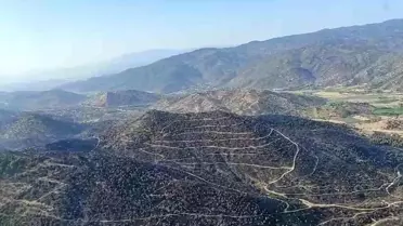 Aydın'da Yangın Kontrol Altına Alındı