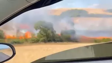 Çanakkale'de Tarım Arazisinde Yangın