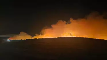 Menemen'de Orman Yangını