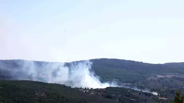 Muğla'da Tarım Arazisinde Yangın