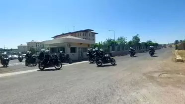 Viranşehir'de 23 Kaçak Motosiklet Ele Geçirildi