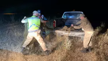 Van Gölü'nde 1,5 Ton Kaçak İnci Kefali Ele Geçirildi