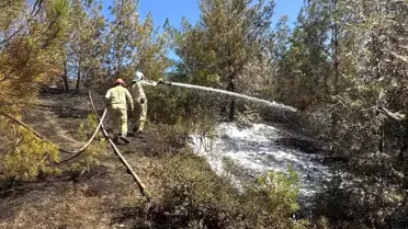 Adana'da Orman Yangını Kontrol Altına Alındı