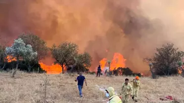 Aydın'da Hafta Sonu 11 Farklı Yangına Müdahale Edildi