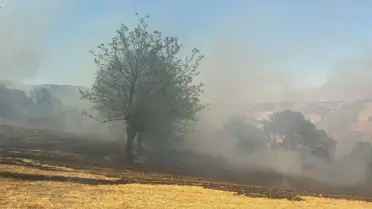 Bursa'da Orman Yangınlarıyla Mücadele