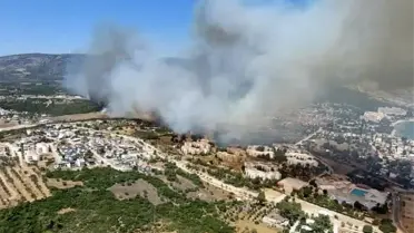 Didim'de Makilik Alanda Yangın Çıktı