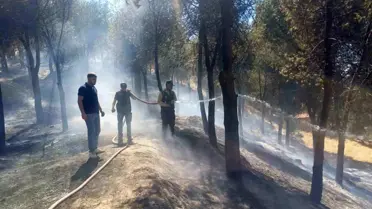 Salihli'de Orman Yangını Kısa Sürede Söndürüldü
