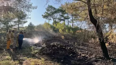 Muğla'da Orman Yangını Kontrol Altına Alındı