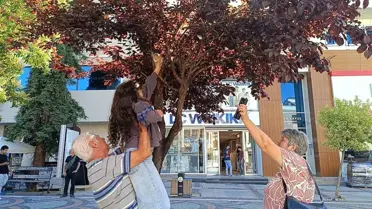 Minik Kız ve Dede'den Yürek Isıtan Kurtarma