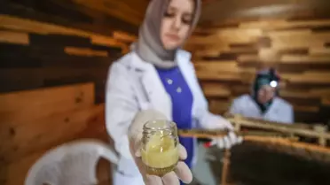 4 arkadaş eşleriyle ürettikleri arı sütünü kilosu 45 bin liradan satıyor