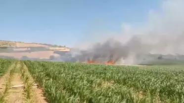 Yenişehir'de Anız Yangını