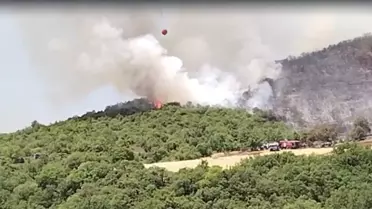 Bursa'da Orman Yangınına Müdahale