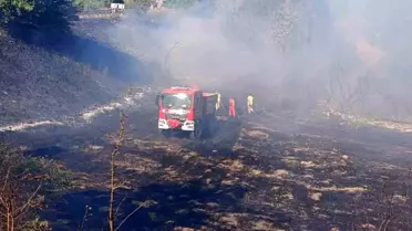 Çanakkale'de Tarım Arazisinde Yangın
