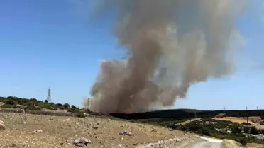 Çanakkale'de Tarım Arazisinde Yangın