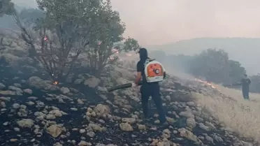 Mardin'de Kırsal Yangın Kontrol Altına Alındı