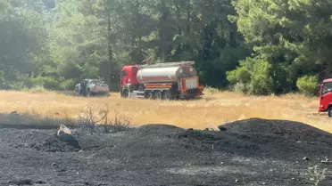 Marmaris'te yangın 45 dakikada kontrol altına alındı