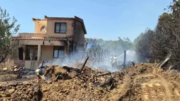 Tekirdağ'da Yangın: 100 Dönüm Alan Zarar Gördü