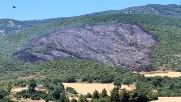 Bursa'da Orman Yangını Kontrol Altında