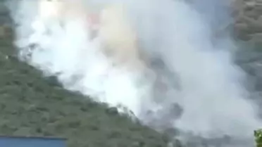 Bursa'da Orman Yangını