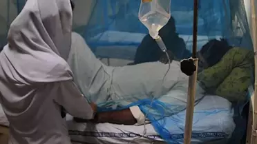 Zimbabve'de sıtma salgını korkunç boyutta: 317 kişi hayatını kaybetti
