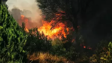 Aydın'da Çiftçilere Yangın Uyarısı