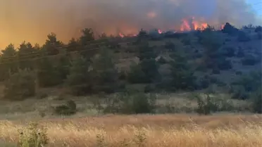 Bilecik'te Orman Yangını Kontrol Altında