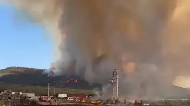 İzmir'de orman yangını! 12 ev tahliye edildi