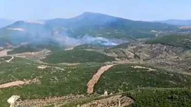 Torbalı'da Orman Yangınına Müdahale