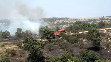 Kırklareli'ndeki Yangın Kontrol Altında
