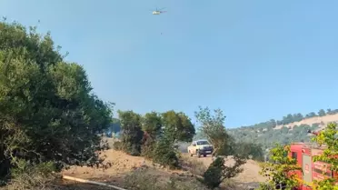 İvrindi'de Orman Yangını Kontrol Altına Alındı
