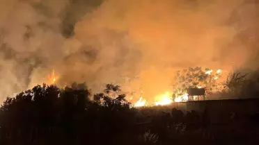 Samandağ'da Bahçe Yangını