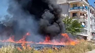 Zile'de Yangın Kontrol Altına Alındı