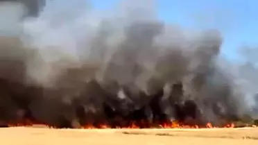 Çanakkale'de Tarım Arazisinde Yangın