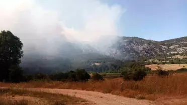 Bilecik'te Orman Yangını Tehlikesi