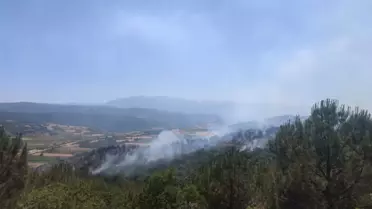 Bursa'daki Orman Yangını 6 Saatte Kontrol Altına Alındı