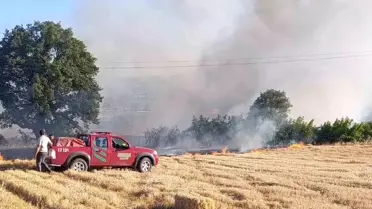 Çanakkale'de Tarım Arazisinde Yangın