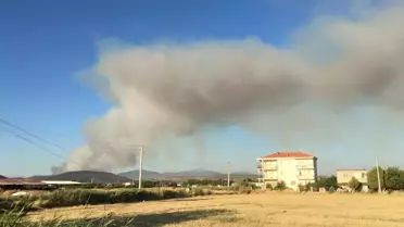 İzmir'de Orman Yangını