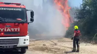 Balıkesir'de Yangın Tarım Arazilerine Zarar Verdi