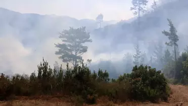 Alanya'da Orman Yangınına Müdahale Devam Ediyor