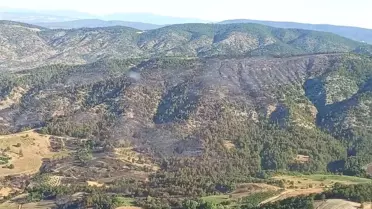 Gölpazarı'ndaki Orman Yangını Kontrol Altına Alındı