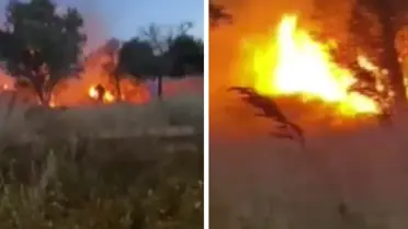 Bursa'da şalvar gecesi eğlencesinde atılan hava fişekler yangına neden oldu