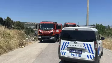 Kocaeli'de Ağaçlık Alanda Yangın