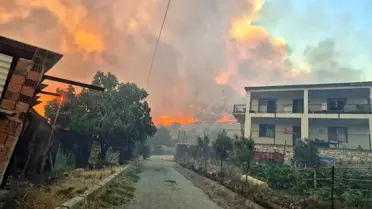 Aliağa'daki Orman Yangını Kontrol Altında