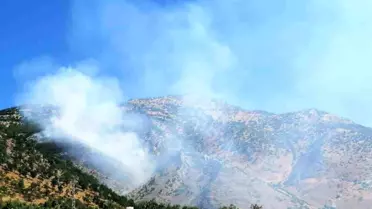 Kahramanmaraş'ta Orman Yangını
