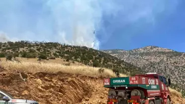 Kahramanmaraş'ta Orman Yangını